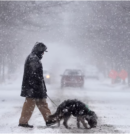 Ola de frío ártico rompe récords en EEUU y deja bajo cero a millones de personas