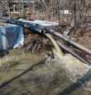 Trump declara el estado de emergencia en Washington D.C. ante desastre ecológico en el río Potomac