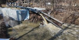 Trump declara el estado de emergencia en Washington D.C. ante desastre ecológico en el río Potomac