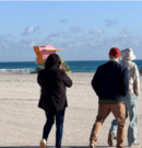 Una ola de frío ártico afecta a Miami Beach: la ciudad amaneció con las temperaturas más bajas desde 2010