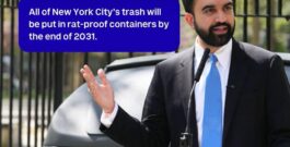Nueva York declara la “guerra” a las bolsas de basura en las aceras