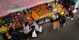 Miles de Neoyorquinos pierden acceso a cupones de Alimentos