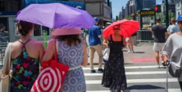 Nueva York implementará nuevos límites de velocidad y zonas peatonales para proteger a los ciudadanos