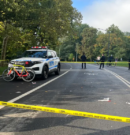 Un ciclista de 71 años murió en Central Park al intentar esquivar a un perro que andaba sin correa
