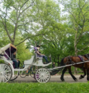 Nueva York fija para 2028 el fin definitivo de los carruajes de caballos en Central Park
