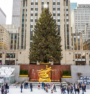 Nueva York se prepara para recibir el emblemático Árbol de Navidad del Rockefeller Cente